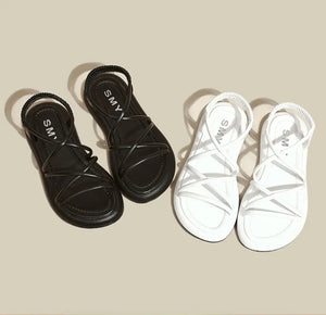 45624602788058|45624602820826|45624602853594|45624602886362|45624602919130|45624602951898