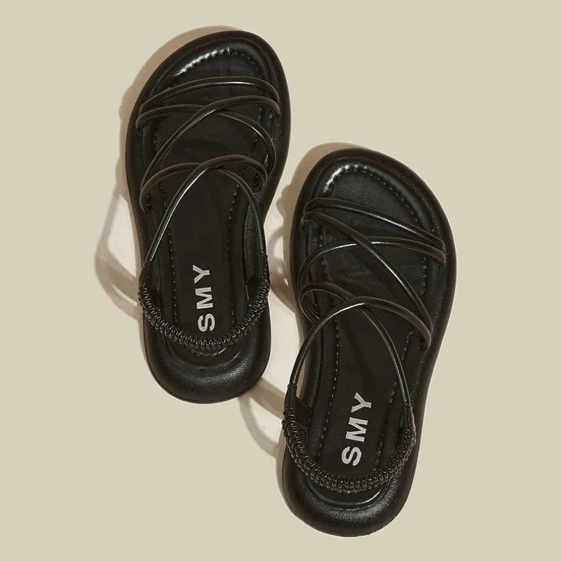 45624602788058|45624602820826|45624602853594|45624602886362|45624602919130|45624602951898