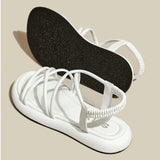 45624602656986|45624602689754|45624602722522|45624602755290|45624602984666|45624603017434